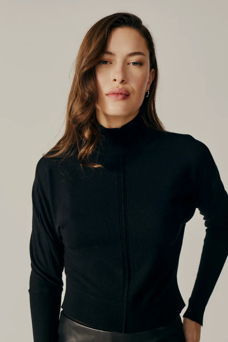 DELUC CAMPANULA TURTLENECK SWEATER - BLACK