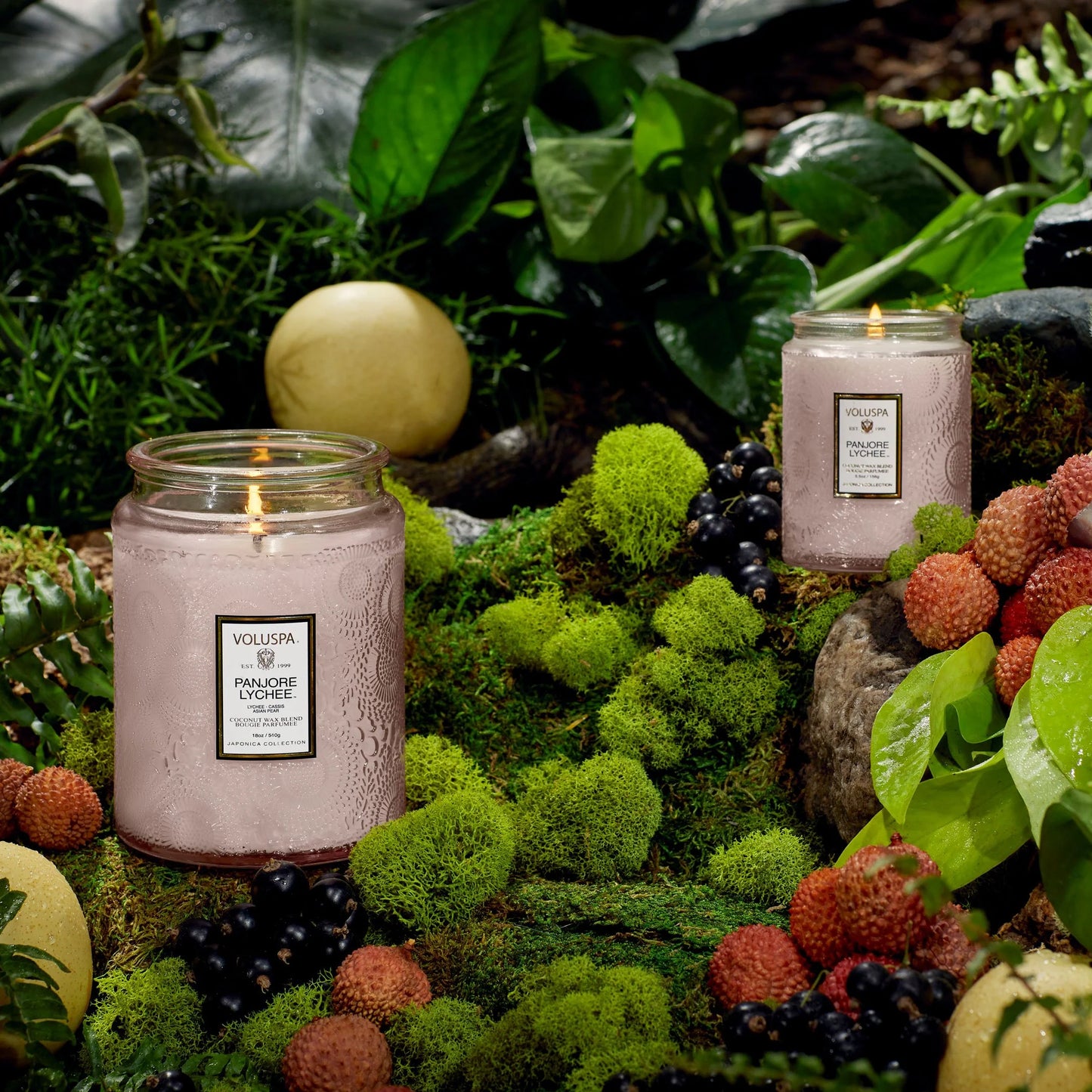 PANJORI LYCHEE|LARGE JAR CANDLE