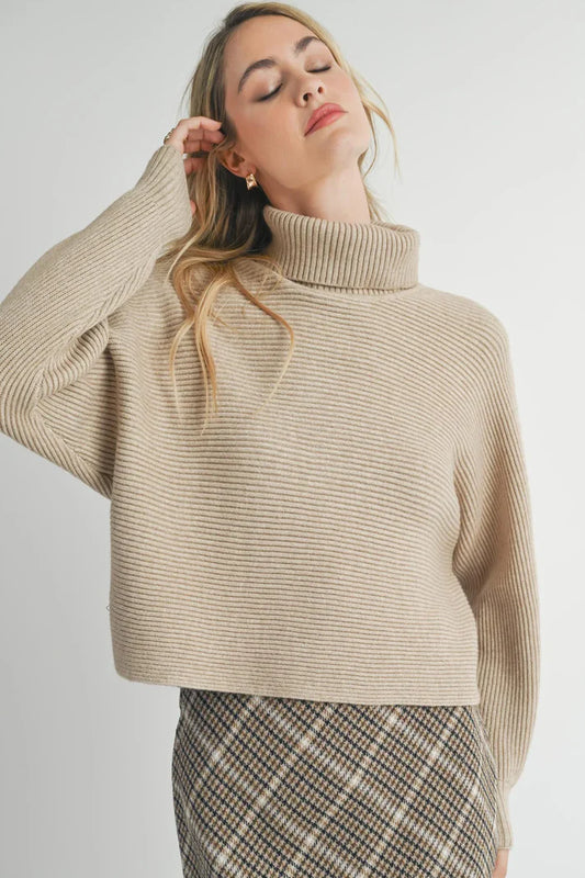 ANYA TURTLENECK DOLMAN SLEEVE SWEATER