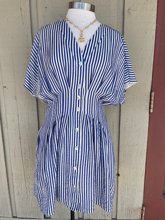 Blue Striped Button Front Dress