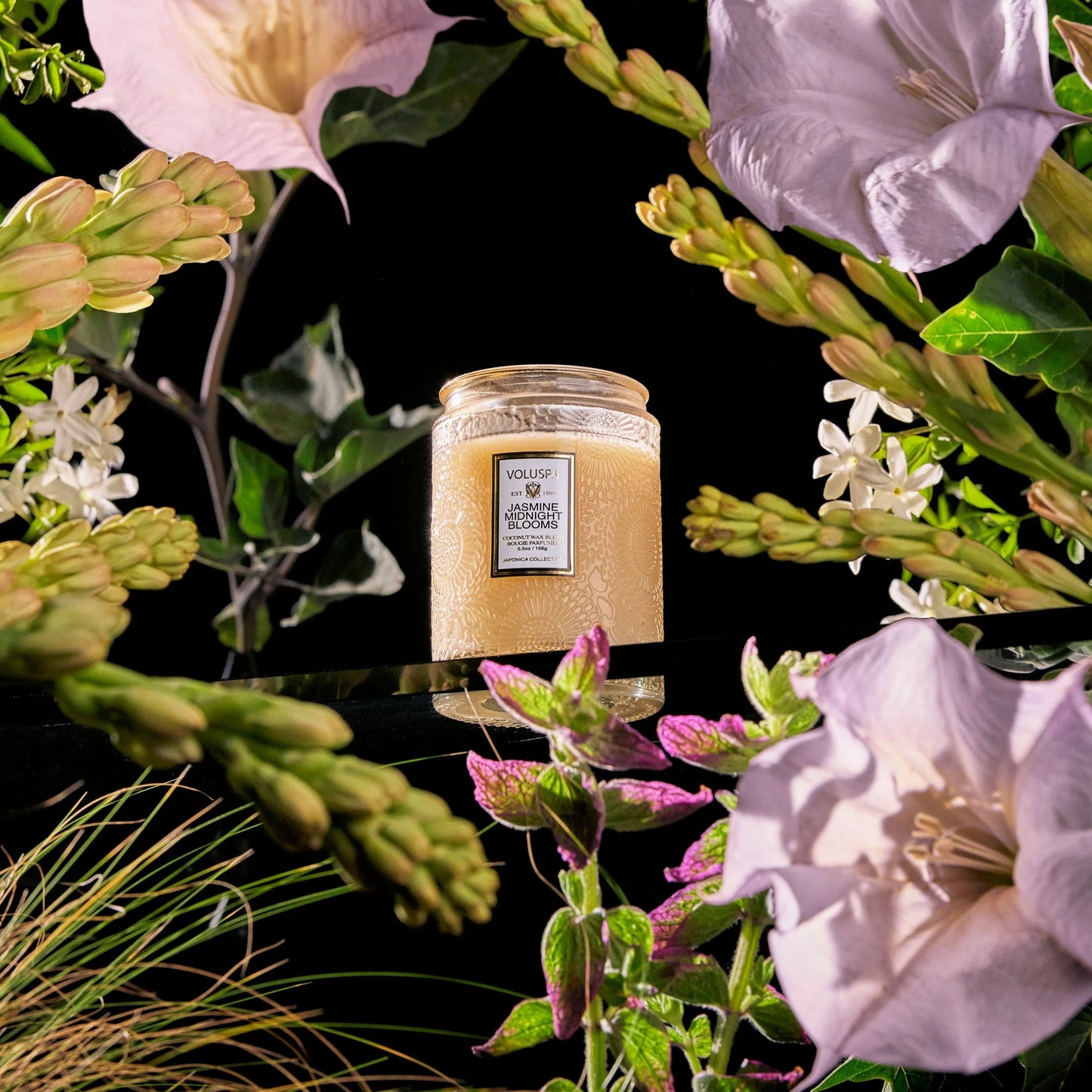 JASMINE MIDNIGHT BLOOMS|SMALL JAR CANDLE