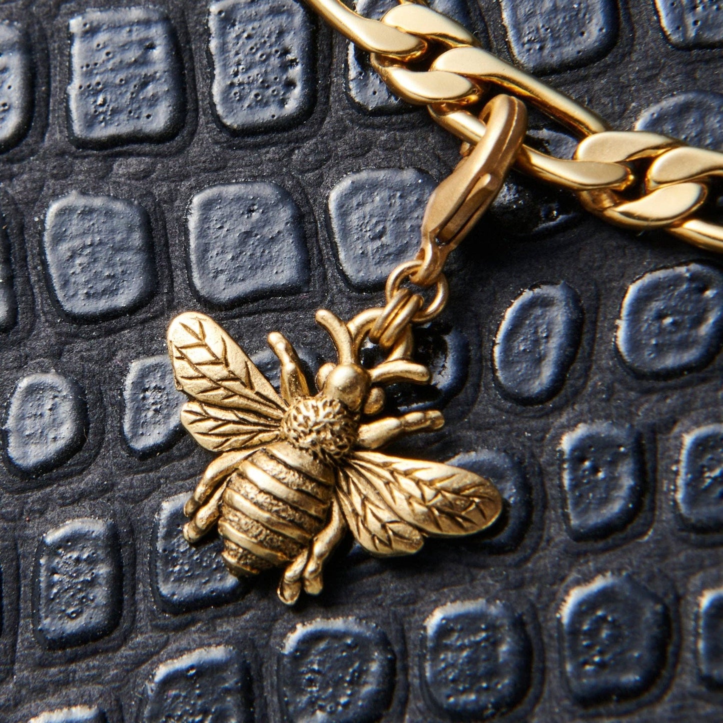 JOHN WIND ANIMAL CHARMS