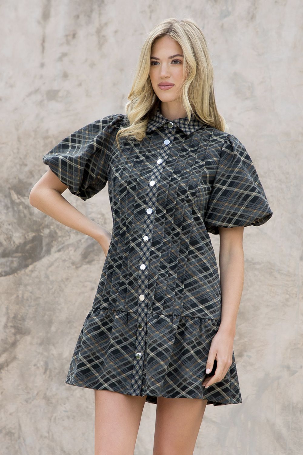 Puff Sleeve Paid Suede Dress