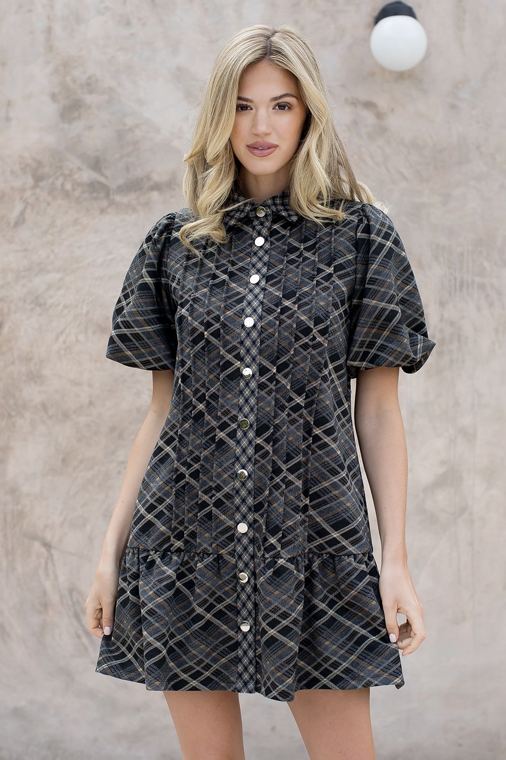 Puff Sleeve Paid Suede Dress