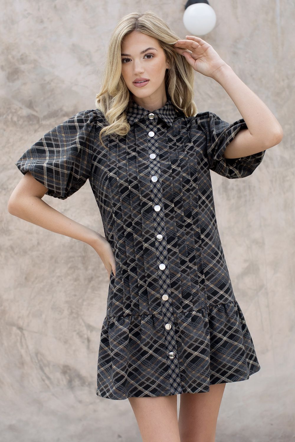 Puff Sleeve Paid Suede Dress