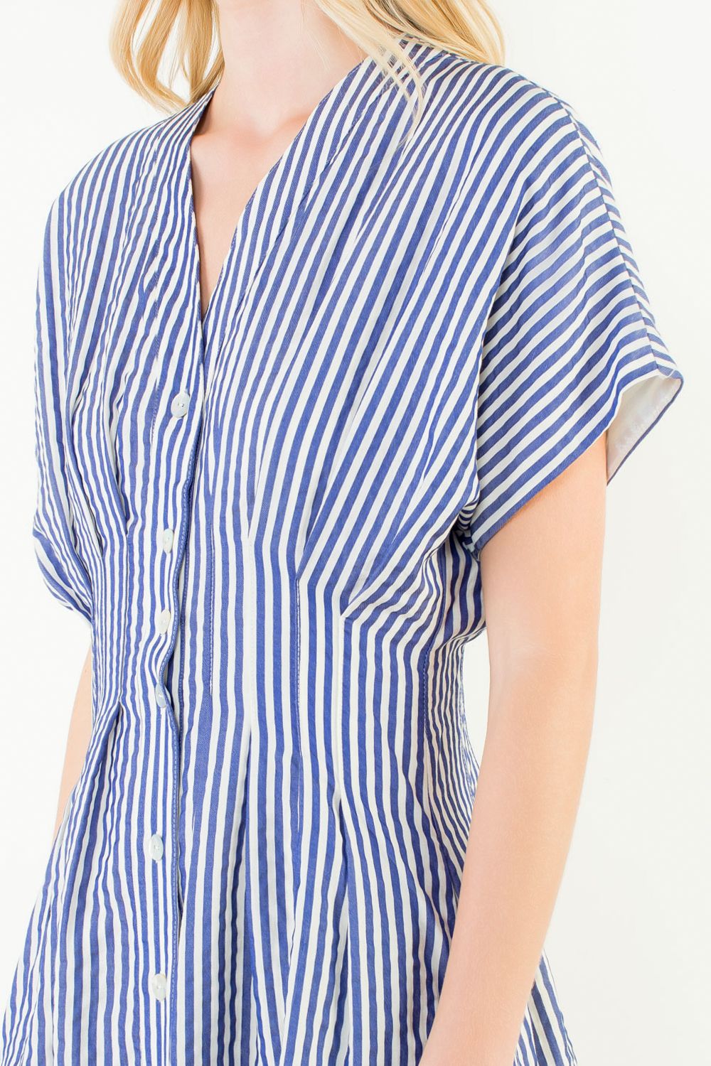 Blue Striped Button Front Dress
