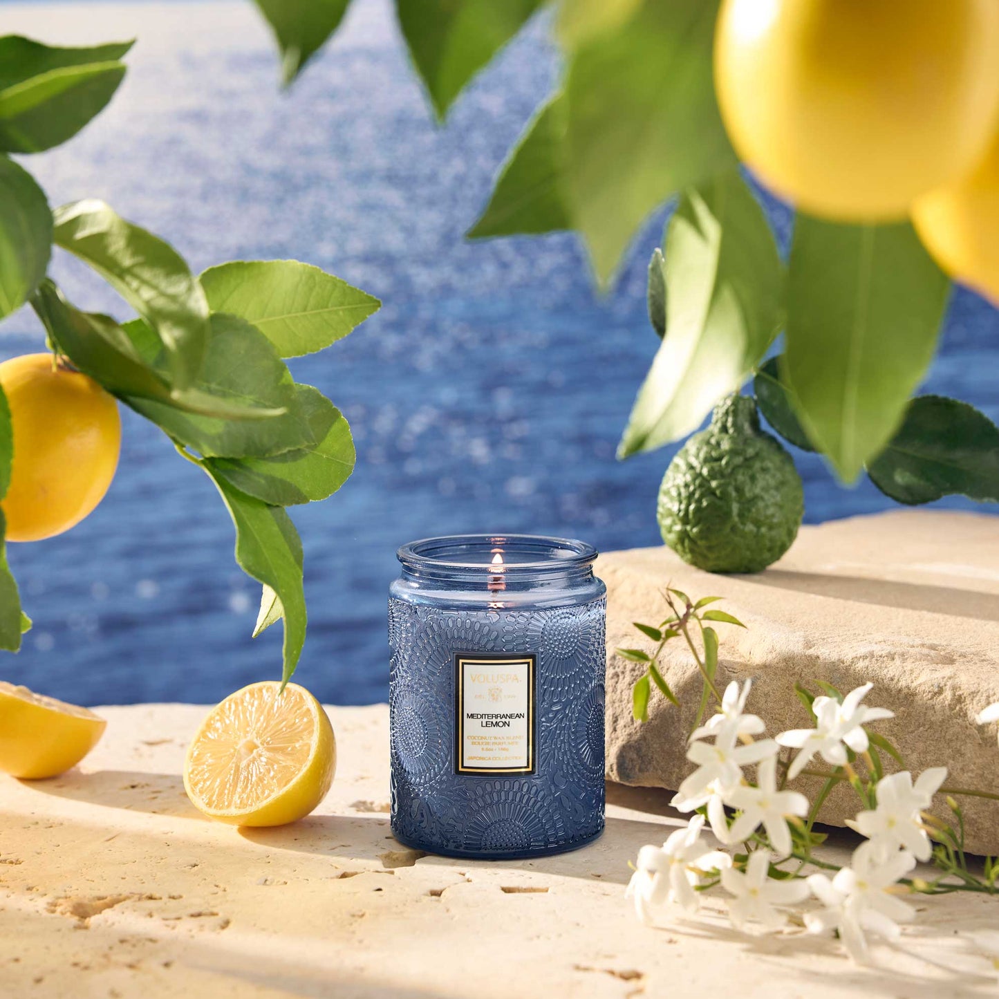 MEDITERRANEAN LEMON|SMALL JAR CANDLE